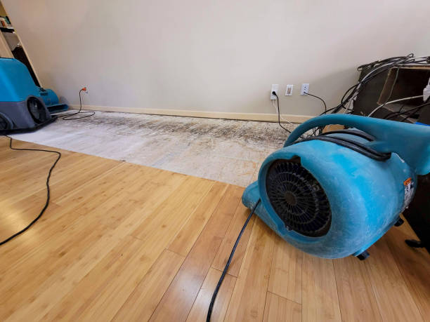 Professional Basement Flood Cleanup technician working in Baileyton, AL